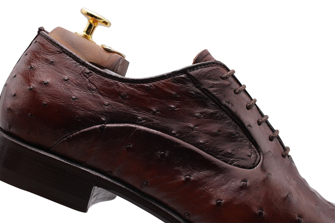 Precious leather stringed