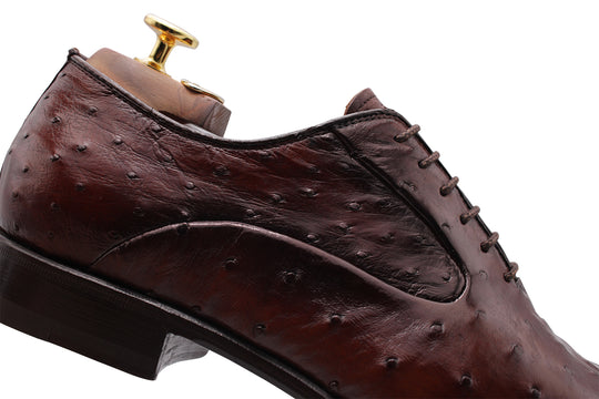 Precious leather stringed