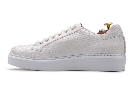 Sneakers in pitone